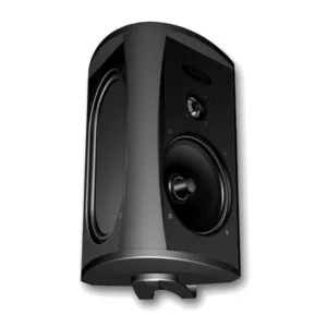 Акустичні колонки Definitive Technology AW5500 Black фото 1