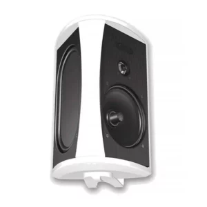 Акустичні колонки Definitive Technology AW5500 White фото 1