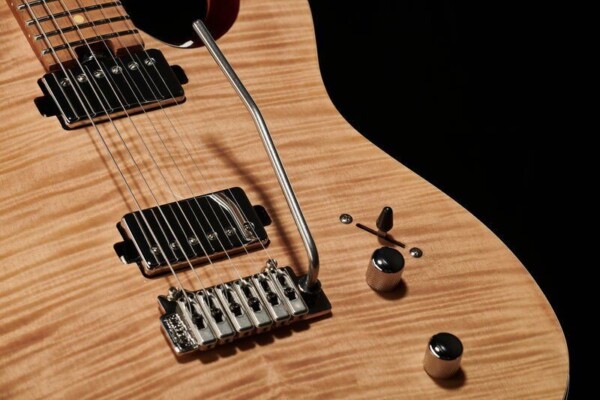 Електрогітара Harley Benton Fusion-T HH Roasted FNT фото 13