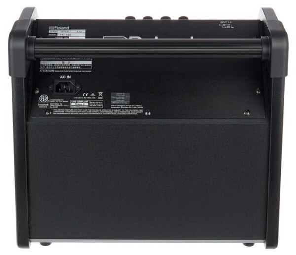 Комбопідсилювач Roland PM100 фото 2