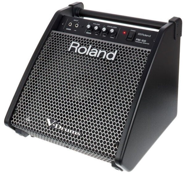Комбопідсилювач Roland PM100 фото 1