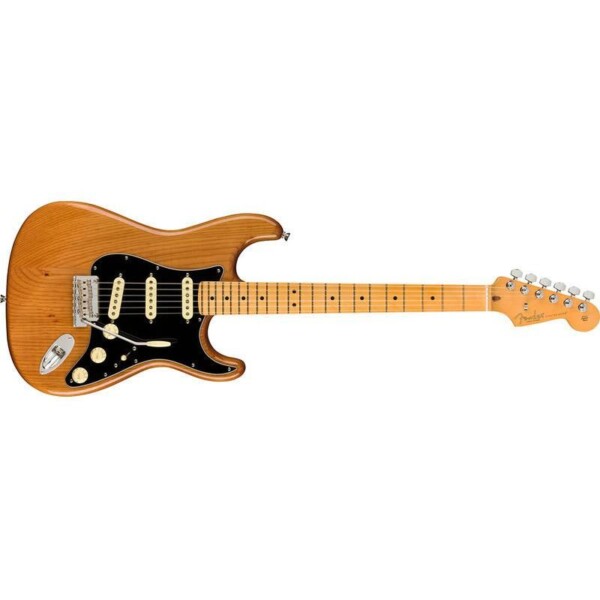 Електрогітара Fender AMERICAN PRO II STRATOCASTER MN ROASTED PINE фото 2
