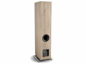 Фронтальні акустичні колонки DALI OBERON 7 C Light OAK фото 3