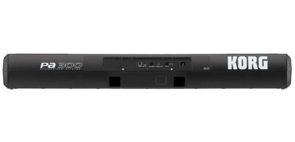 Робоча станція Korg PA300 фото 4