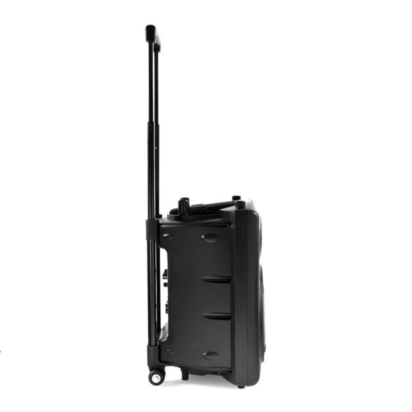 Мобільна акустична система Ibiza PORT10VHF-BT фото 6