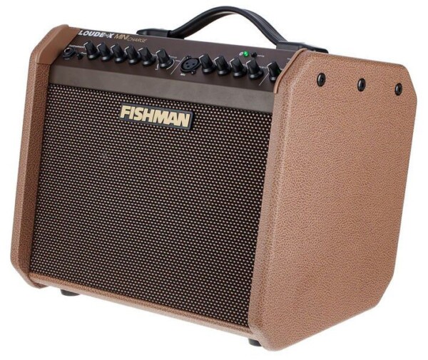 Комбопідсилювач Fishman Loudbox Mini Charge фото 3