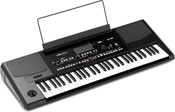 Робоча станція Korg PA300 фото 1