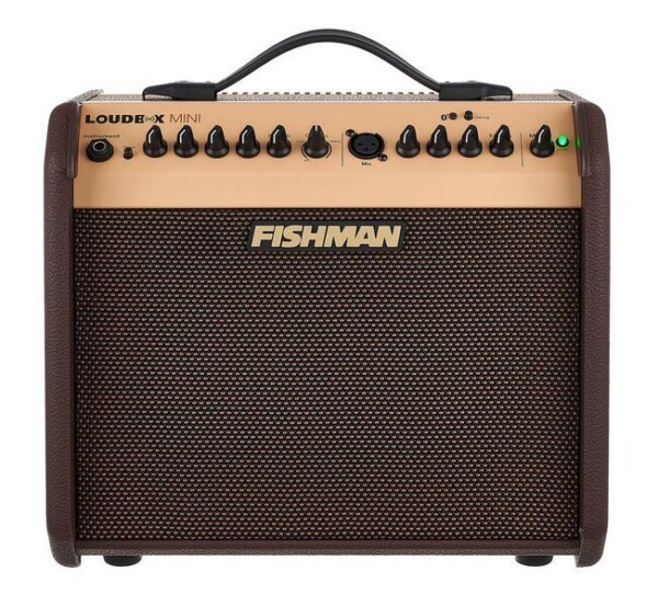 Комбопідсилювач Fishman Loudbox Mini with Bluetooth фото 1
