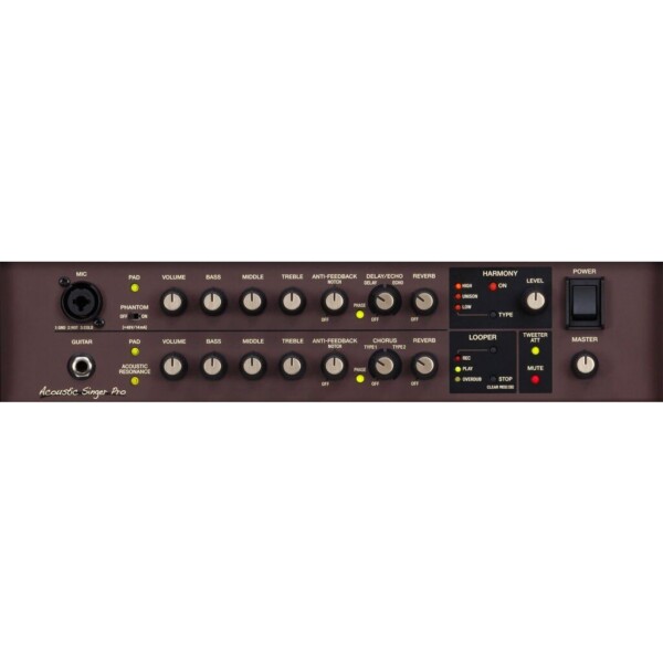 Комбопідсилювач Boss Acoustic Singer Pro ACS-PRO фото 3