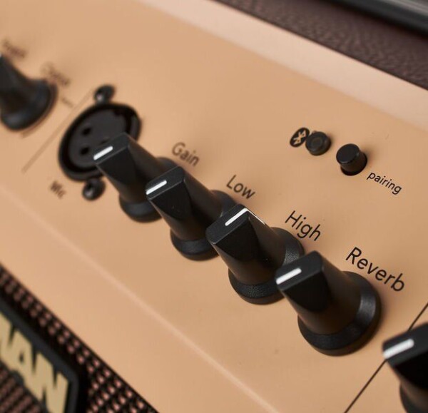 Комбопідсилювач Fishman Loudbox Mini with Bluetooth фото 3