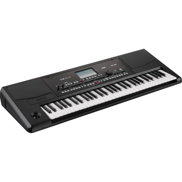 Робоча станція Korg PA300 фото 2