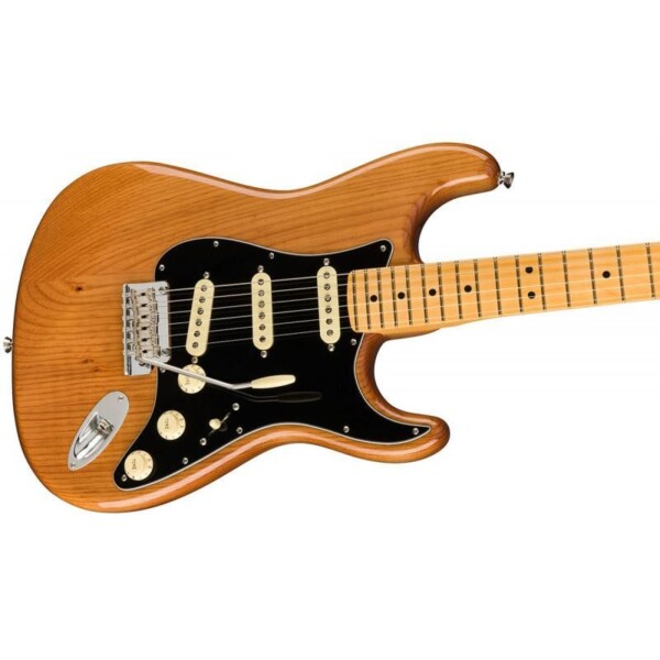 Електрогітара Fender AMERICAN PRO II STRATOCASTER MN ROASTED PINE фото 5