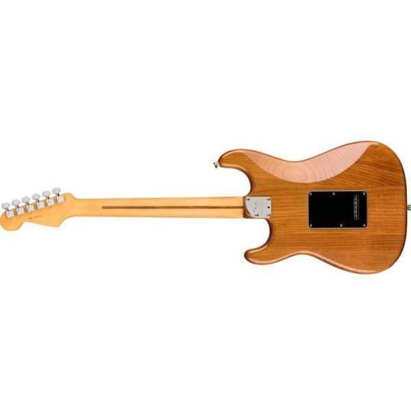Електрогітара Fender AMERICAN PRO II STRATOCASTER MN ROASTED PINE фото 3