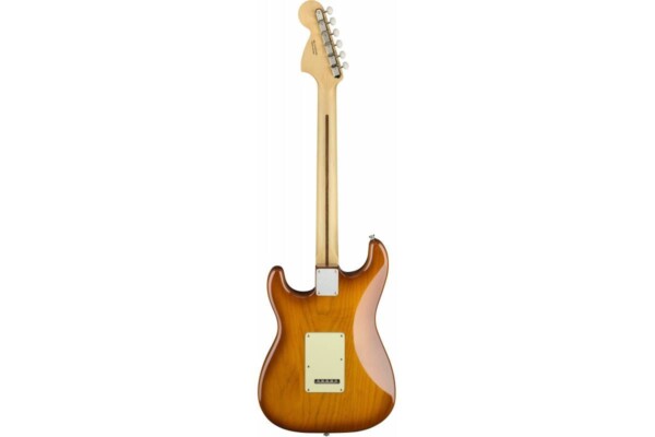 Електрогітара Fender AMERICAN PERFORMER STRATOCASTER RW Honey Burst фото 2