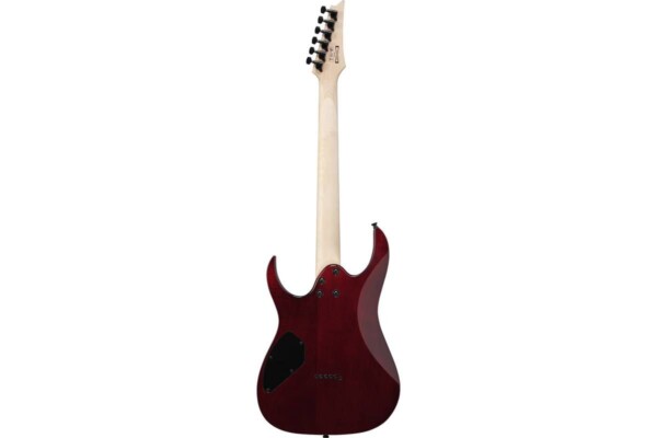 Електрогітара Ibanez GRGR221PA AQB фото 2
