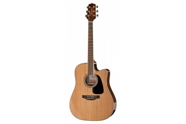 Акустична гітара Takamine GD51CE-NAT фото 1