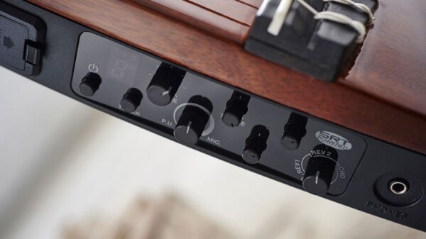 Електрогітара Yamaha SLG200S NA фото 5