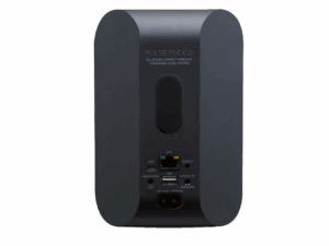 Акустичні колонки Bluesound PULSE FLEX 2i Black фото 3