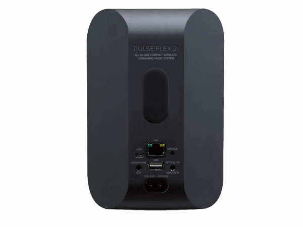 Акустичні колонки Bluesound PULSE FLEX 2i Black фото 3
